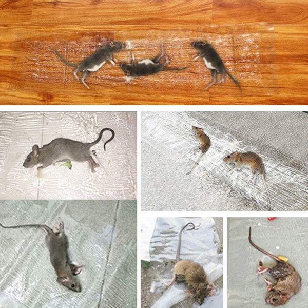 Heavy Sticky Indoor Mouse Trap Carpet