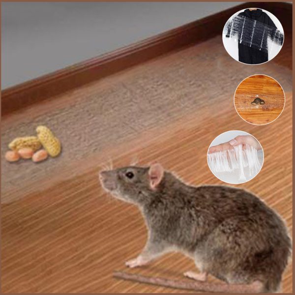 Heavy Sticky Indoor Mouse Trap Carpet