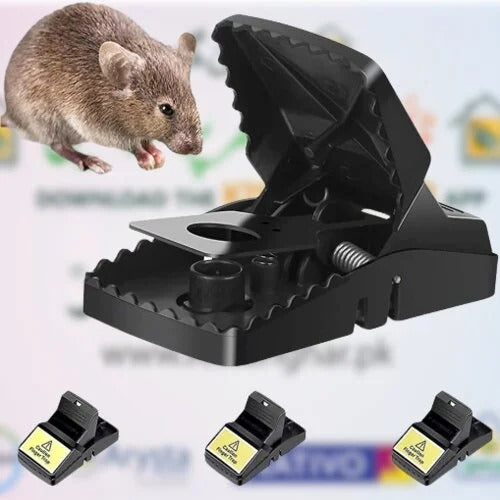 Heavy Duty Mouse Trap